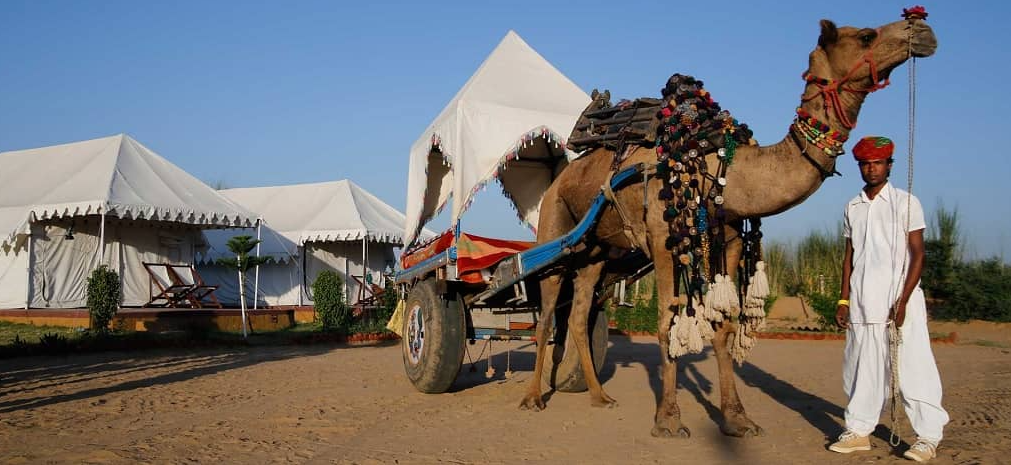 Jaisalmer Camel Safari
